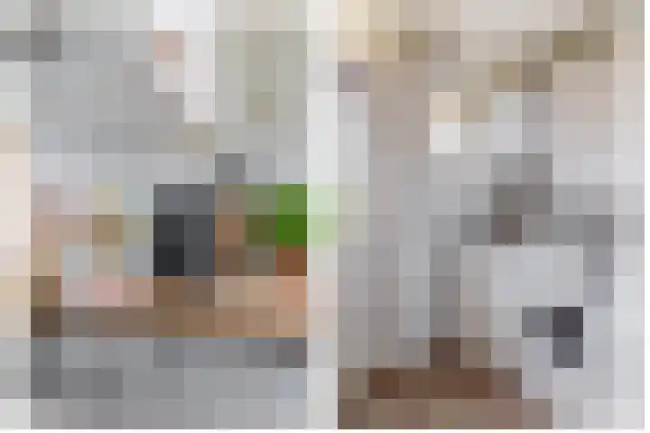 Gorechtkade 66 a Groningen thumbnail 22