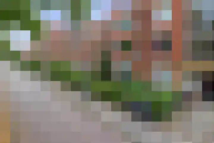 Gorechtkade 66 a Groningen thumbnail 35