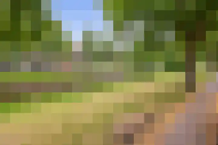Gorechtkade 66 a Groningen thumbnail 37