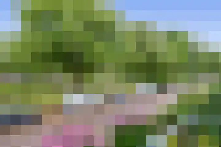 Gorechtkade 66 a Groningen thumbnail 5