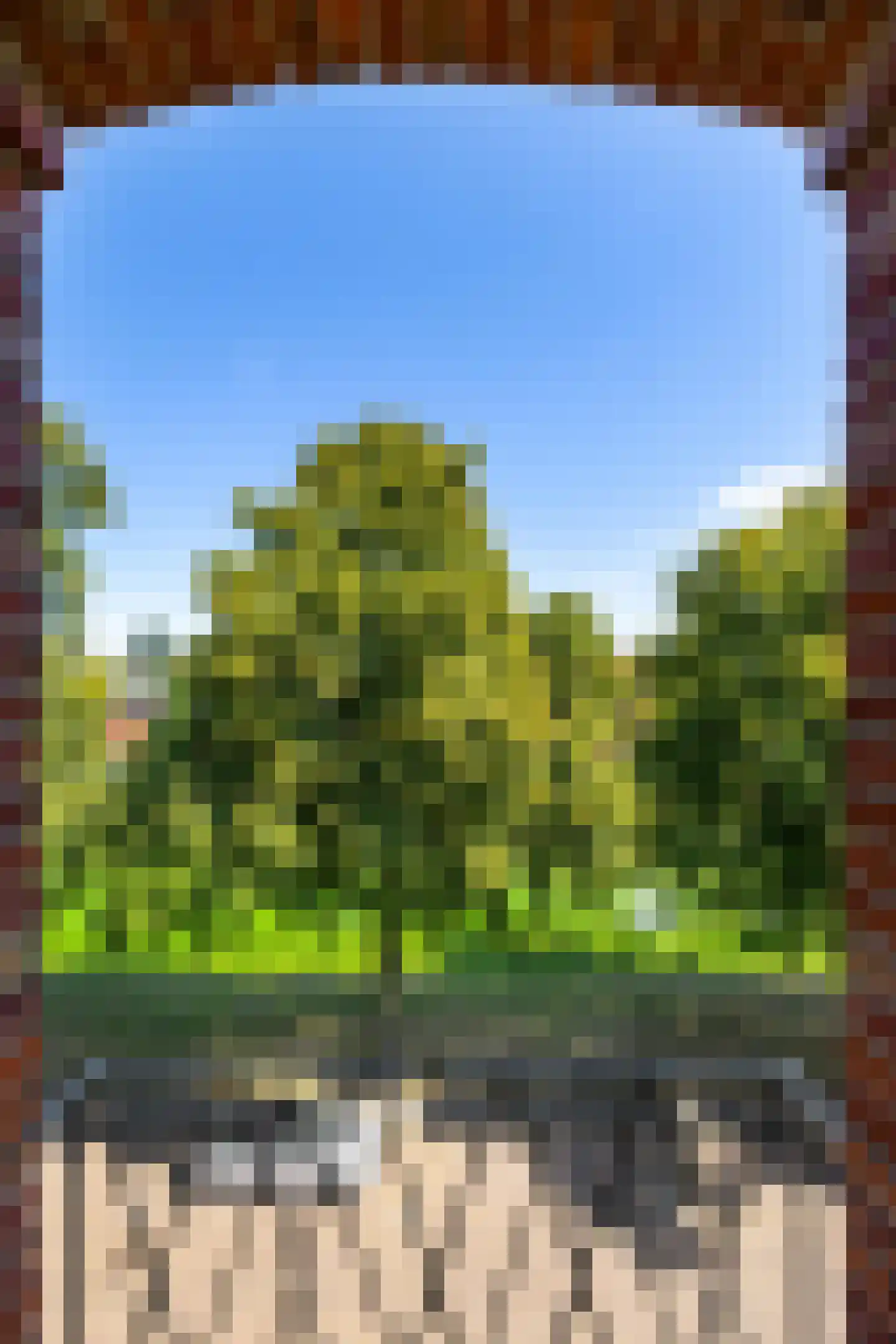 Gorechtkade 68 c Groningen thumbnail 26