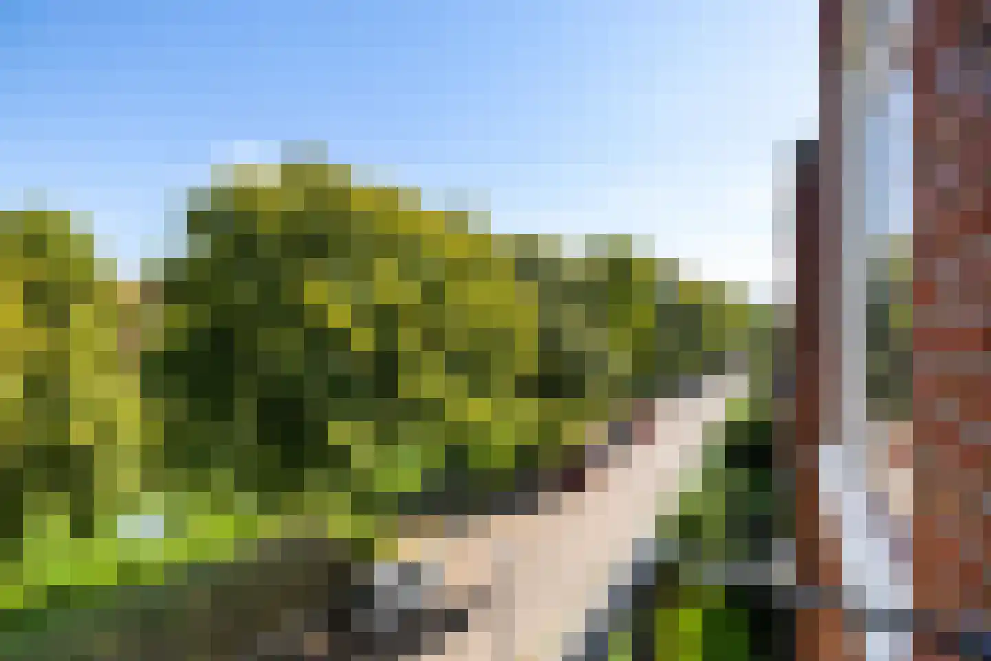 Gorechtkade 68 c Groningen thumbnail 27