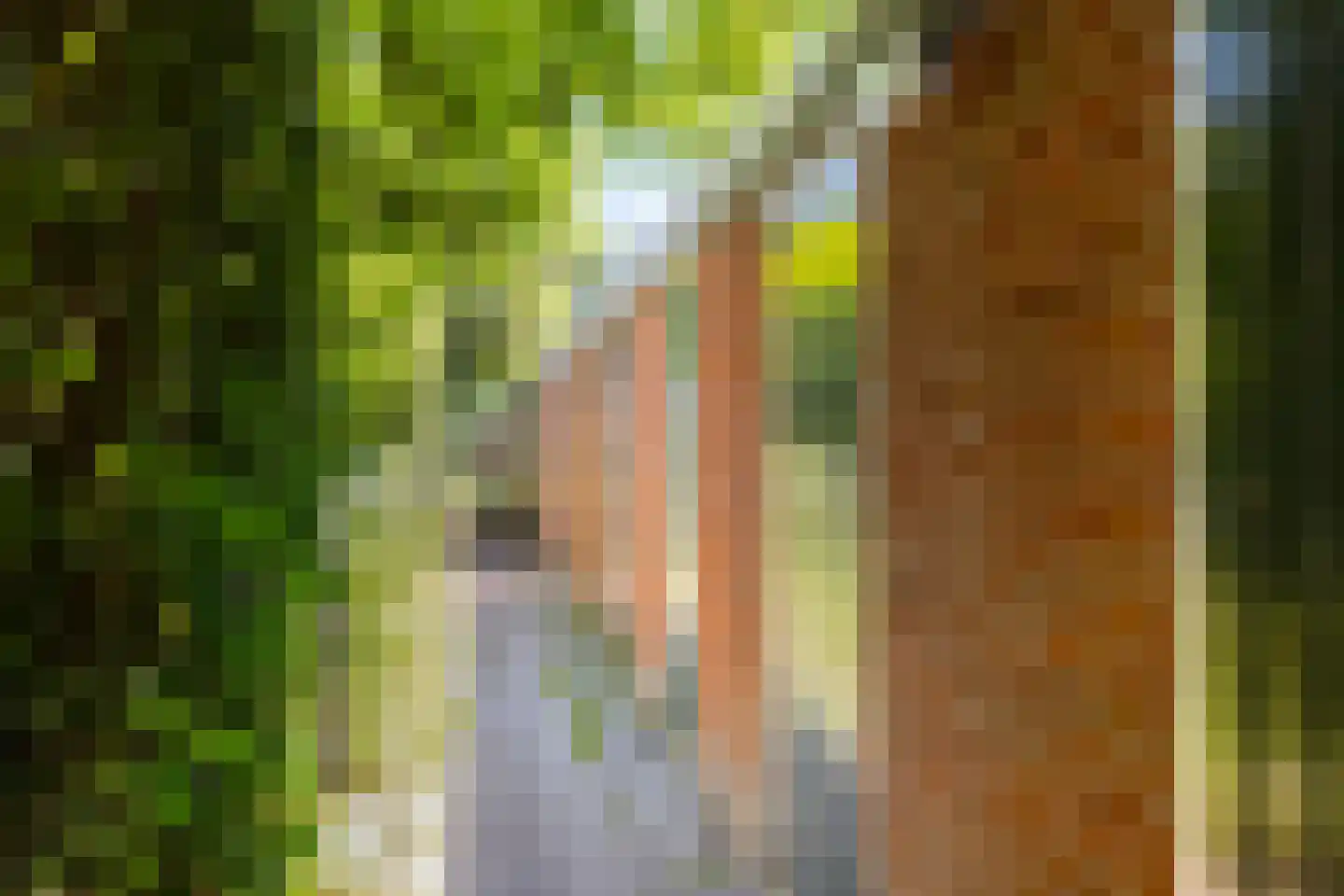 Gorechtkade 68 c Groningen thumbnail 39