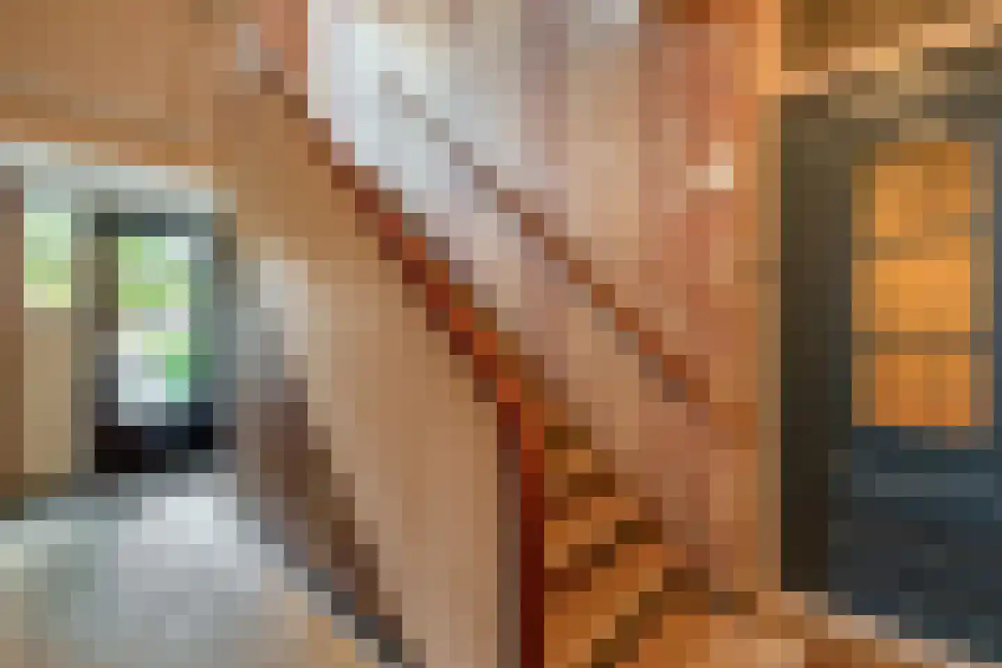 Gorechtkade 7 Groningen thumbnail 10