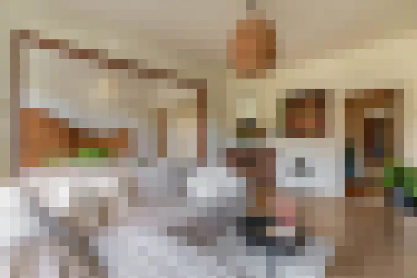 Gorechtkade 7 Groningen thumbnail 15
