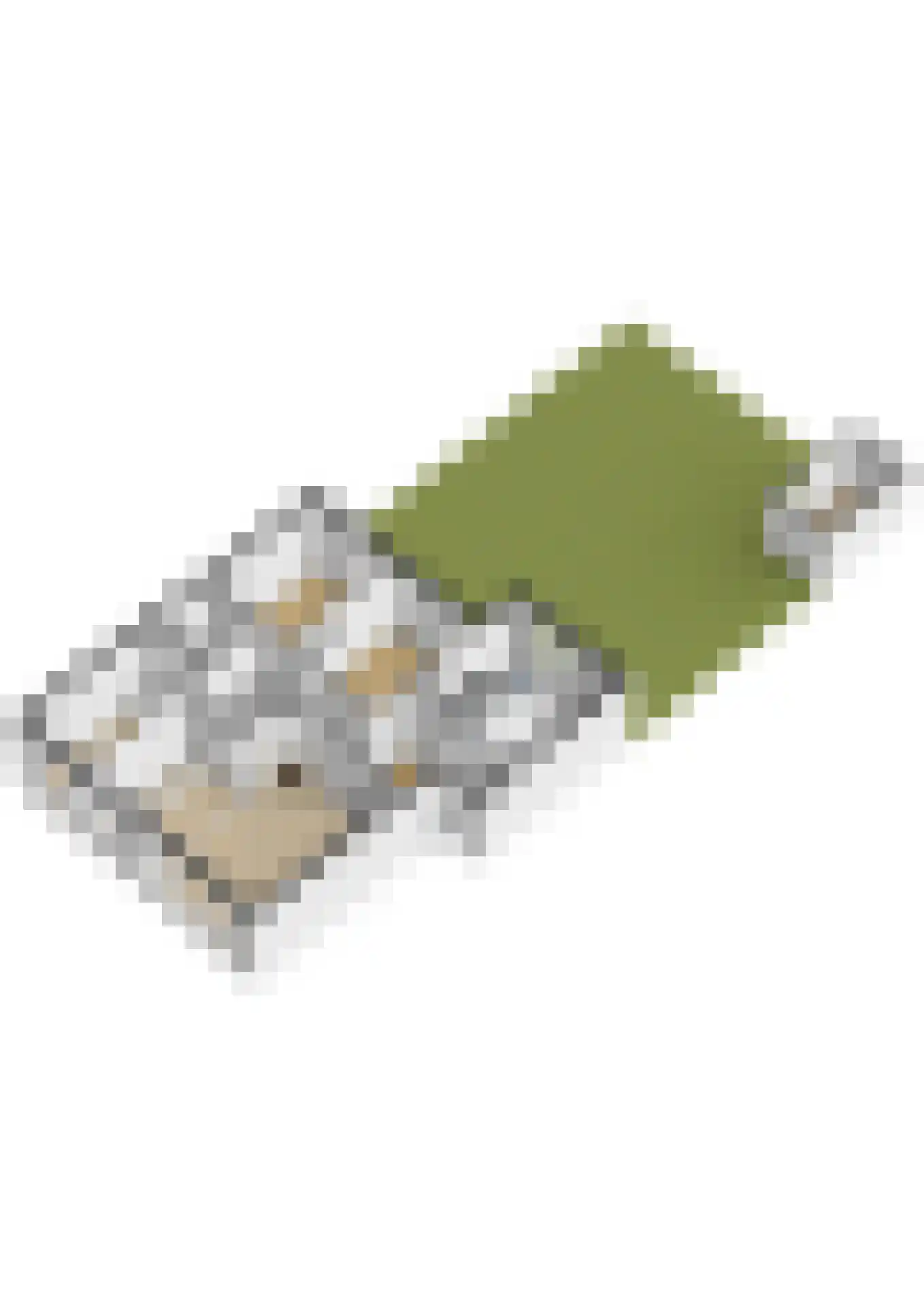 Gorechtkade 7 Groningen thumbnail 37