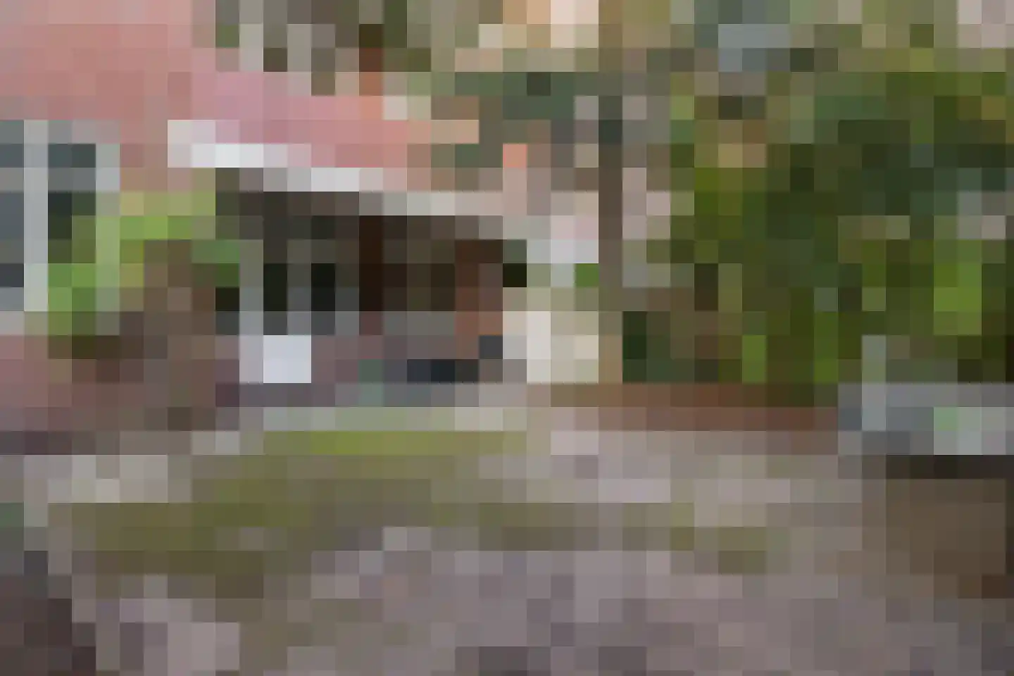 Gorechtkade 7 Groningen thumbnail 4