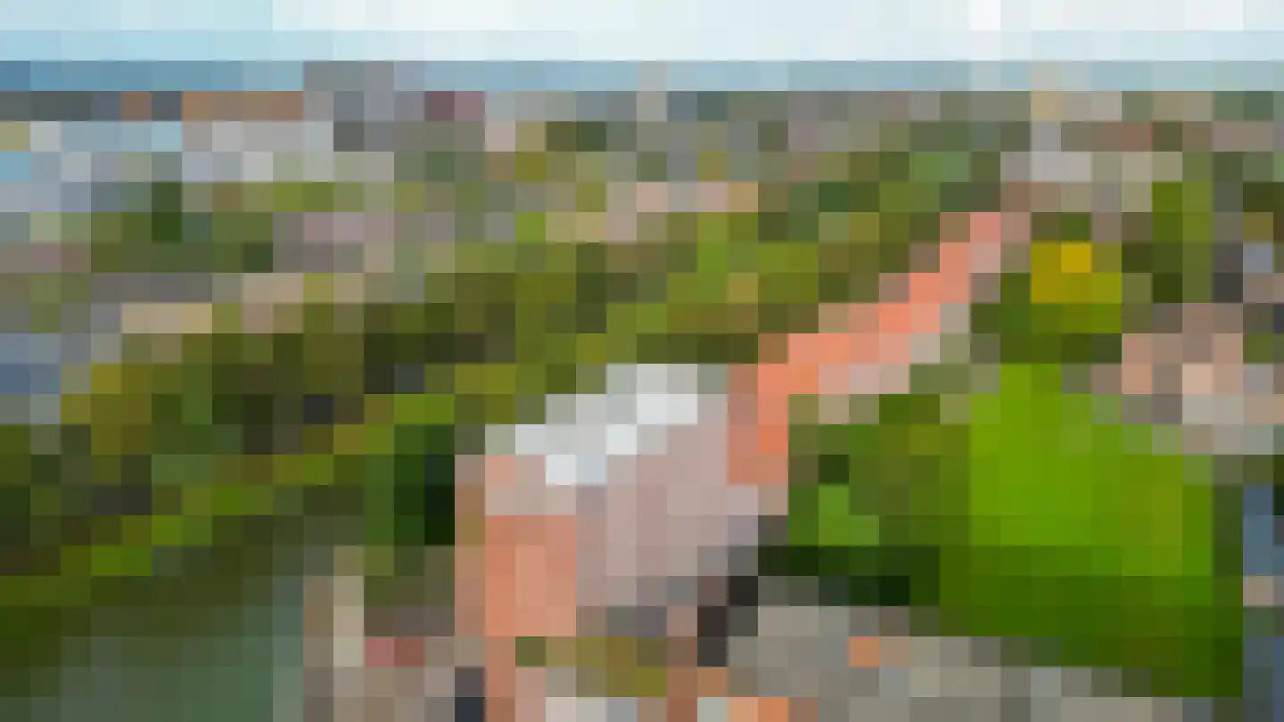 Gorechtkade 7 Groningen thumbnail 5