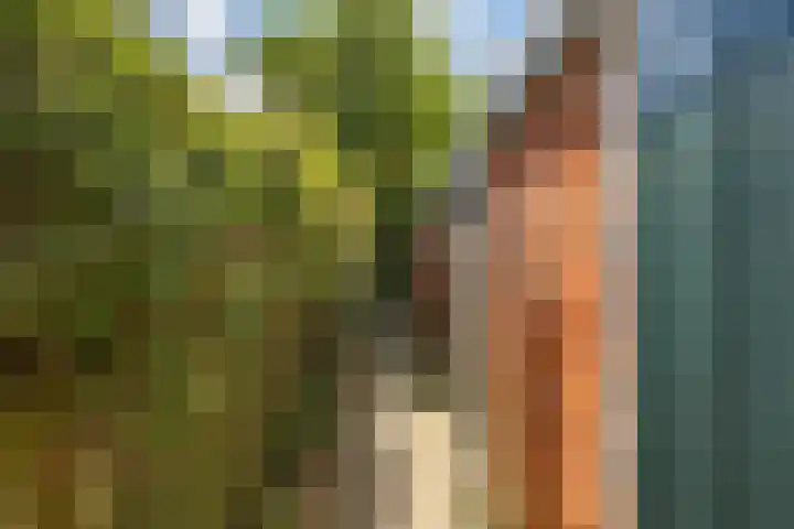 Gorechtkade 70 b Groningen thumbnail 30