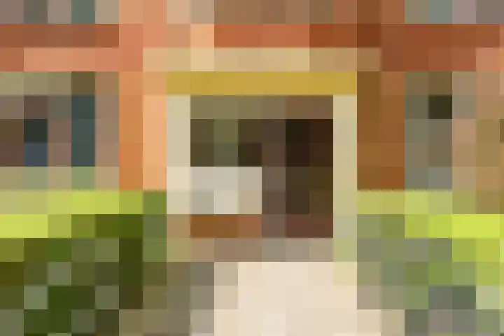 Gorechtkade 70 b Groningen thumbnail 32