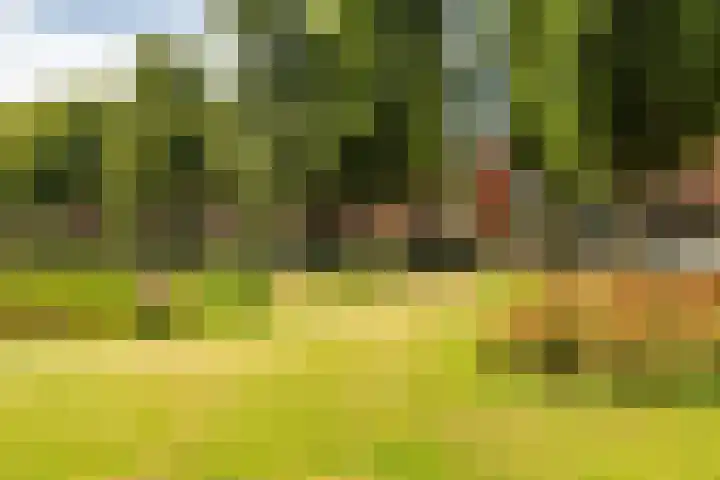 Gorechtkade 70 b Groningen thumbnail 33