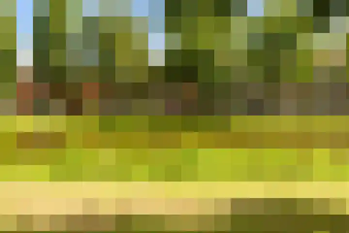 Gorechtkade 70 b Groningen thumbnail 34