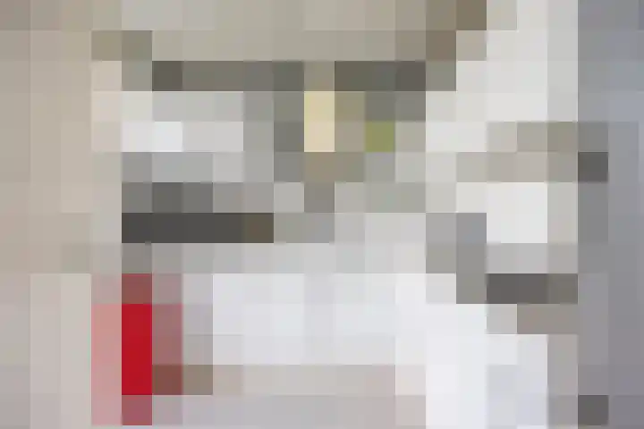 Gorechtkade 70 b Groningen thumbnail 4