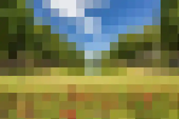 Gorechtkade 70 b Groningen thumbnail 6