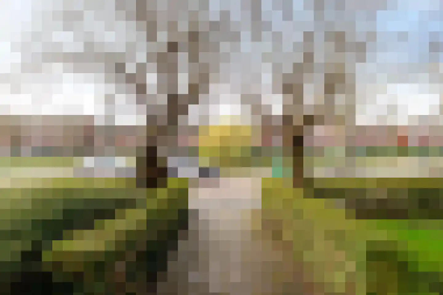 Gorechtkade 87 Groningen thumbnail 24