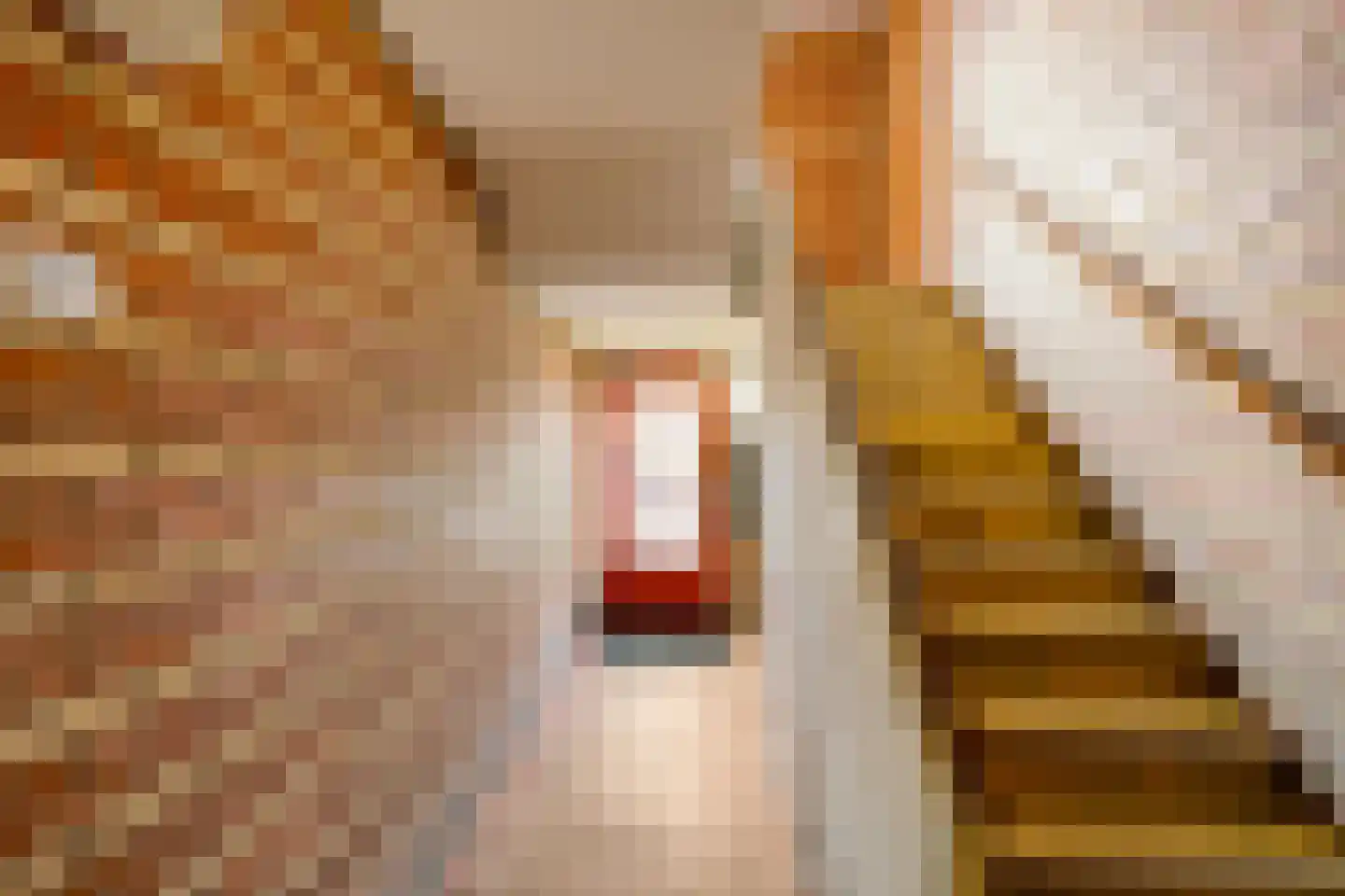 Gorechtkade 87 Groningen thumbnail 6