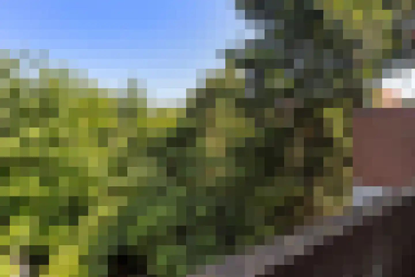 Gorechtkade 9 b Groningen thumbnail 35