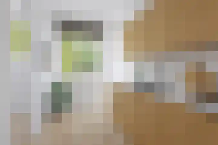 Gorechtkade 95 Groningen thumbnail 16