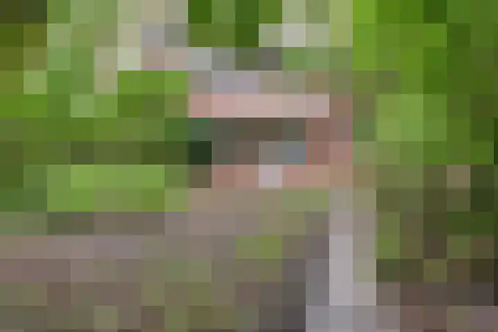 Gorechtkade 95 Groningen thumbnail 25