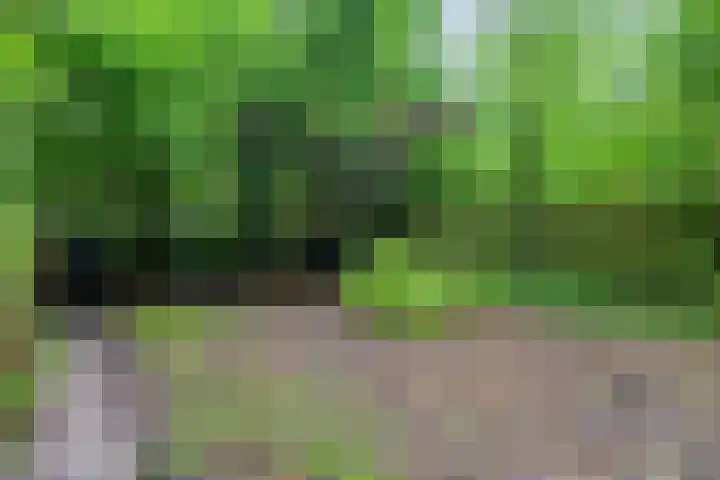 Gorechtkade 95 Groningen thumbnail 26