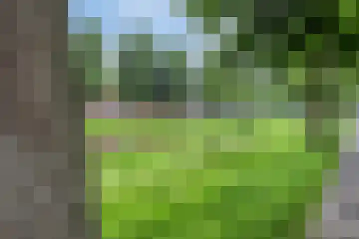 Gorechtkade 95 Groningen thumbnail 31