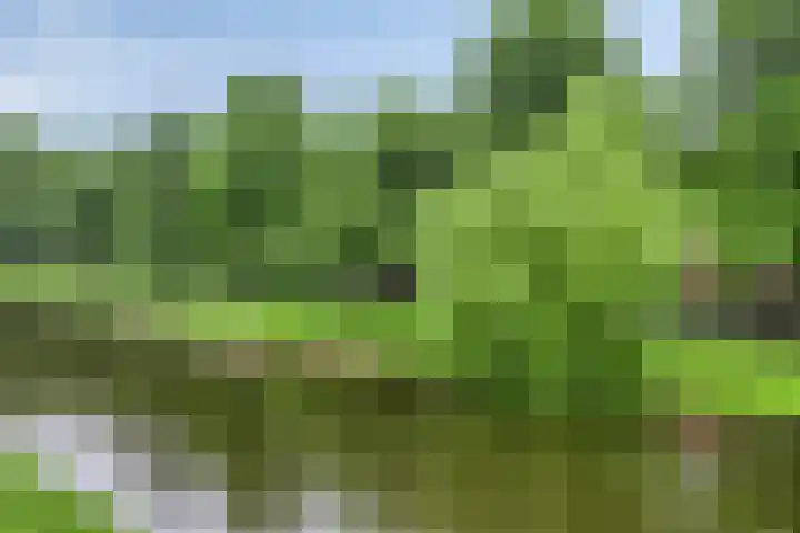 Gorechtkade 95 Groningen thumbnail 32