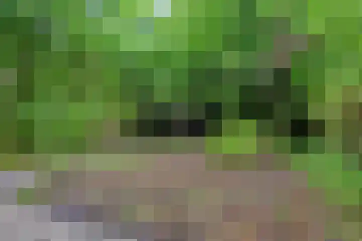 Gorechtkade 95 Groningen thumbnail 4