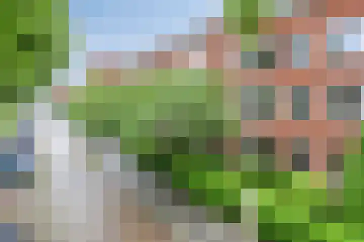 Gorechtkade 95 Groningen thumbnail 5