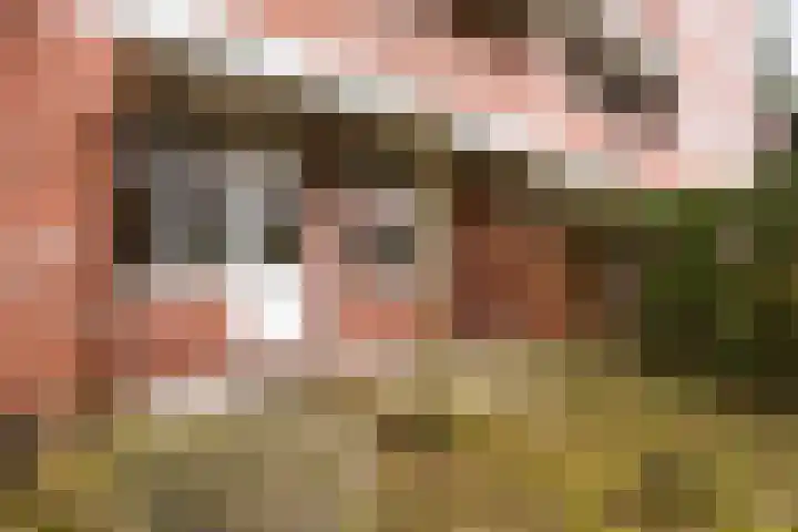 Gorechtkade 97 Groningen thumbnail 26