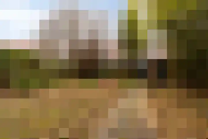 Gorechtkade 97 Groningen thumbnail 28
