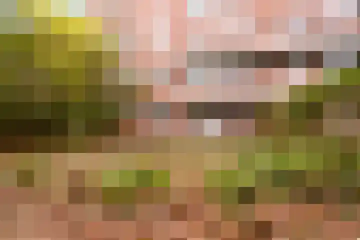 Gorechtkade 97 Groningen thumbnail 31