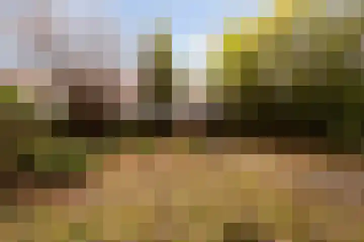 Gorechtkade 97 Groningen thumbnail 5