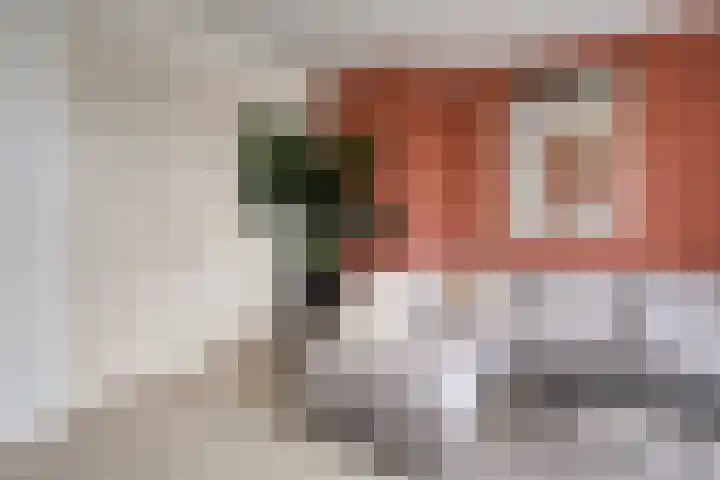 Gorechtkade 99 c Groningen thumbnail 11