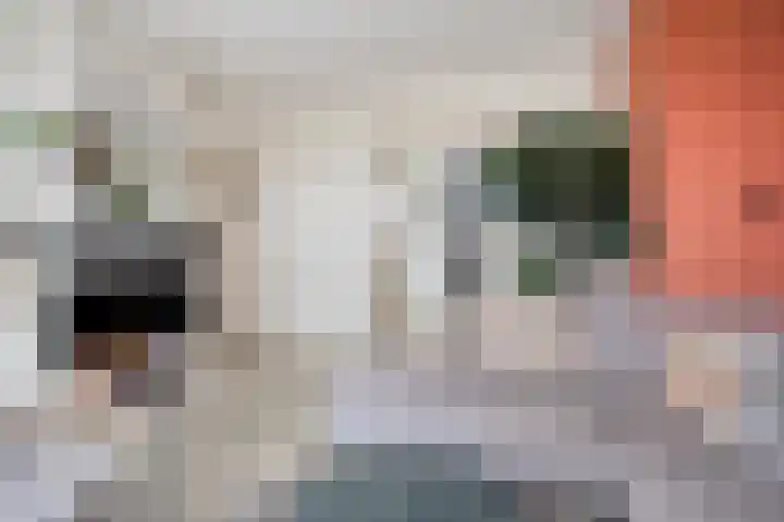 Gorechtkade 99 c Groningen thumbnail 12