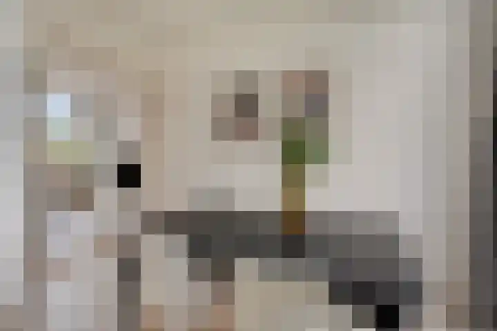Gorechtkade 99 c Groningen thumbnail 15