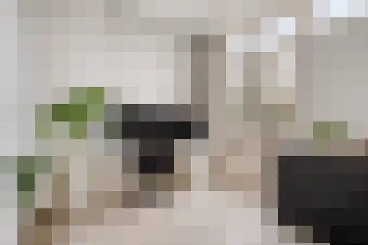 Gorechtkade 99 c Groningen thumbnail 24