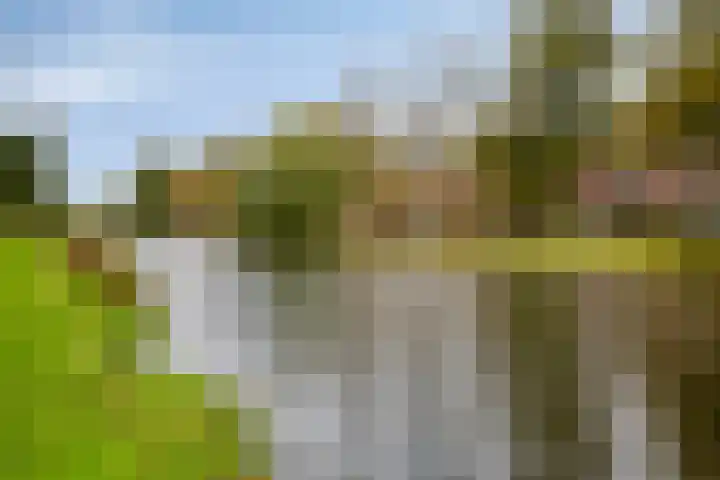 Gorechtkade 99 c Groningen thumbnail 27