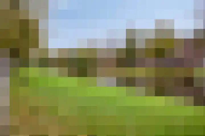 Gorechtkade 99 c Groningen thumbnail 29