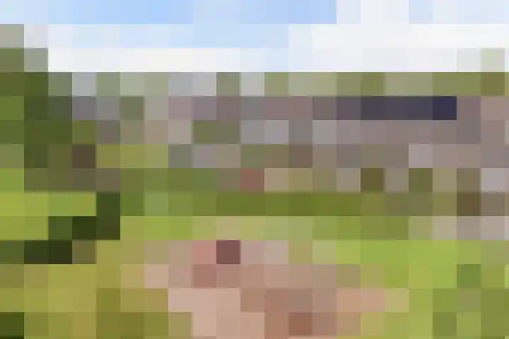 Gorechtpad 10 Emmeloord thumbnail 13