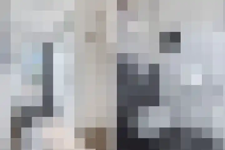 Gorechtpad 10 Emmeloord thumbnail 15
