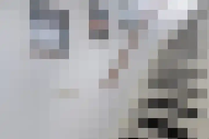 Gorechtpad 10 Emmeloord thumbnail 16