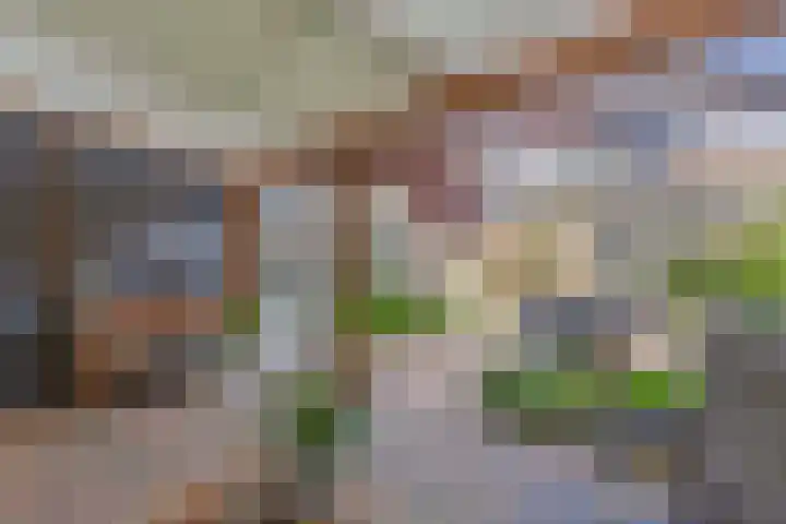 Gorechtpad 10 Emmeloord thumbnail 31