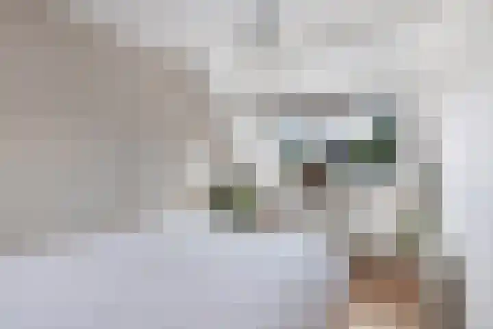 Gorechtpad 10 Emmeloord thumbnail 41