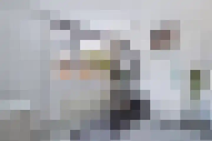 Gorechtpad 10 Emmeloord thumbnail 45
