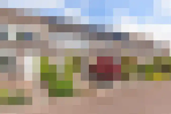 Gorechtpad 10 Emmeloord thumbnail 5