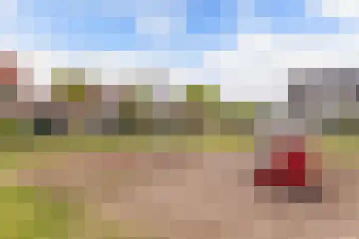 Gorechtpad 10 Emmeloord thumbnail 6