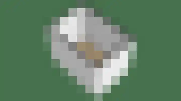 Gorechtpad 10 Emmeloord thumbnail 62