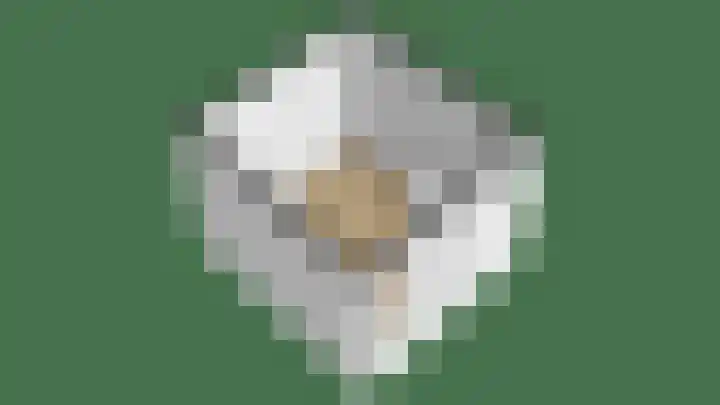 Gorechtpad 10 Emmeloord thumbnail 64