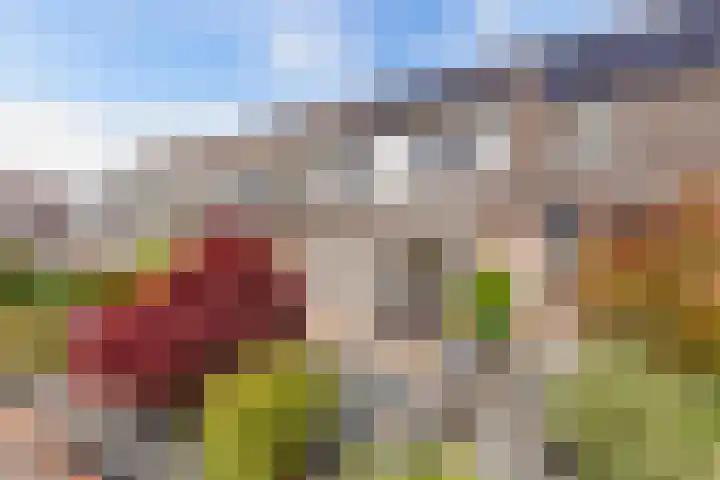 Gorechtpad 10 Emmeloord thumbnail 7
