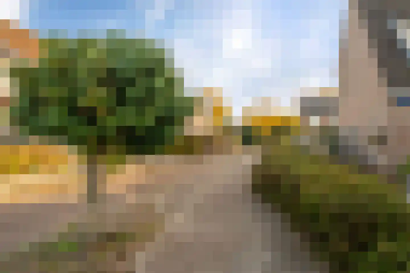 Gorechtpad 14 Emmeloord thumbnail 11
